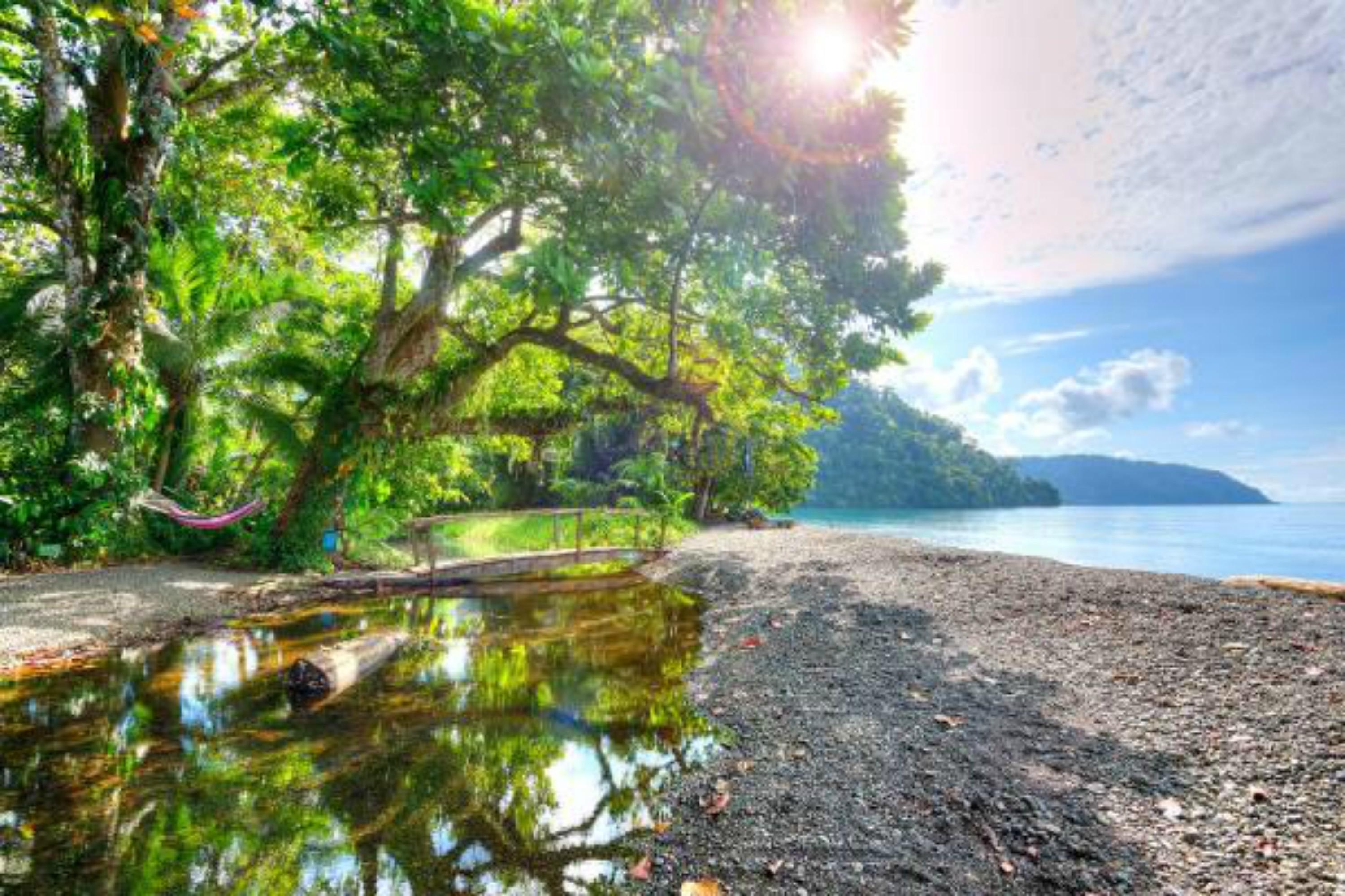 Playa Nicuesa Rainforest Eco Sanctuary Golfito Eksteriør bilde