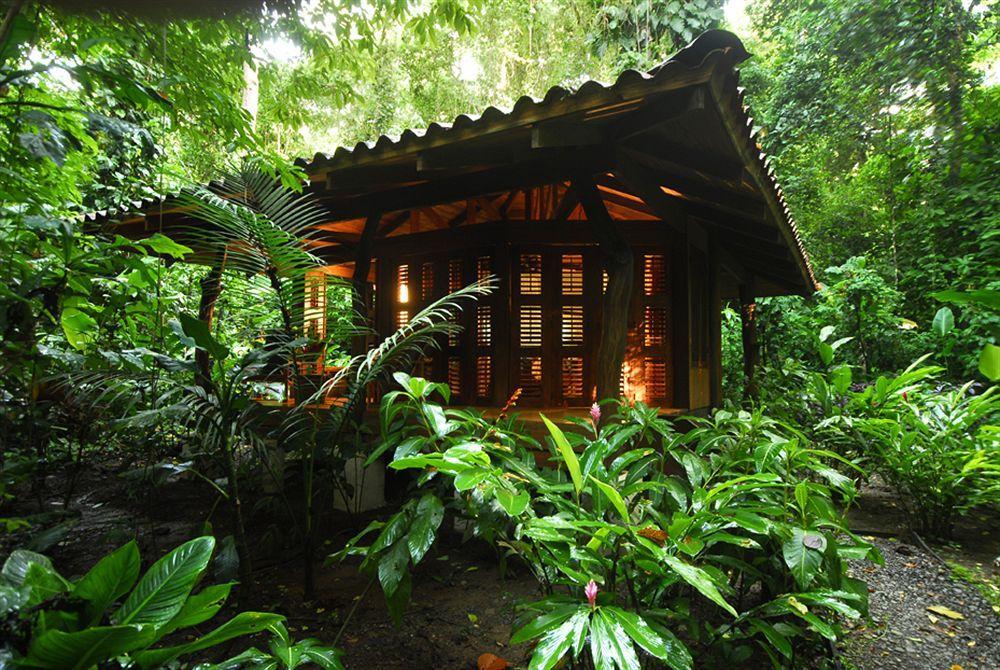 Playa Nicuesa Rainforest Eco Sanctuary Golfito Eksteriør bilde