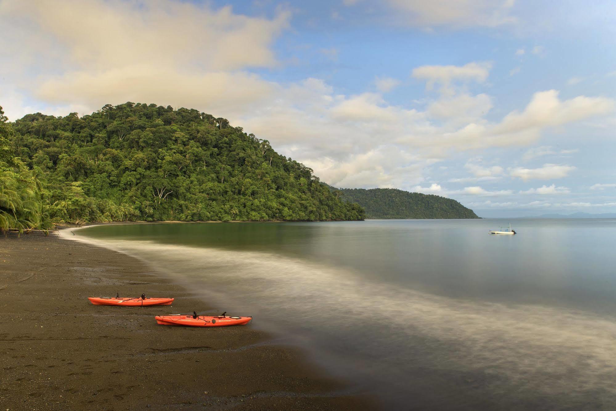Playa Nicuesa Rainforest Eco Sanctuary Golfito Eksteriør bilde